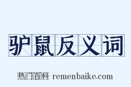 驴鼠反义词是什么意思的图片